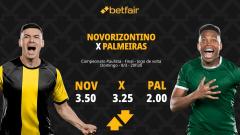 Novorizontino x Palmeiras - Paulistão 2026: Palpites, Odds, Escalações, Horário, Onde Assistir