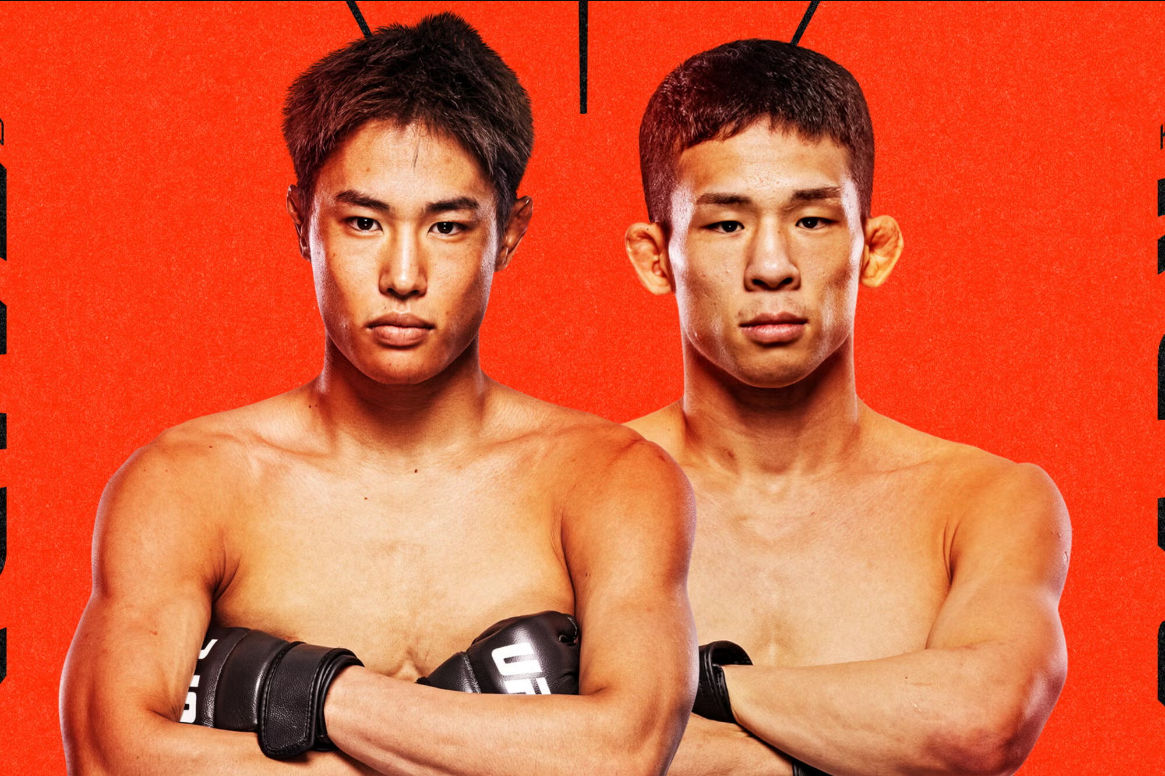 UFC Vegas 108 - Taira vs. Park: análise do card completo e dicas de aposta