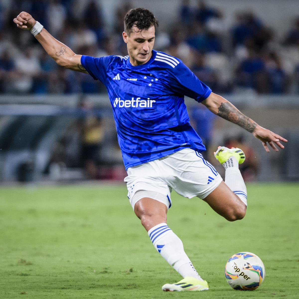 Guia do Brasileirão 2024