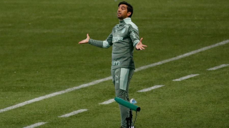 abel_palmeiras_1106.jpg