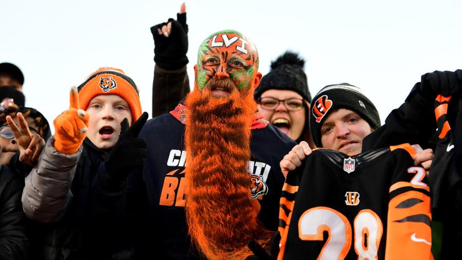 bengals_1102.jpg