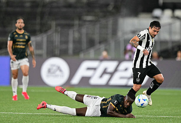 Carabobo x Botafogo: palpites, odds, onde assistir ao vivo, escalações ...