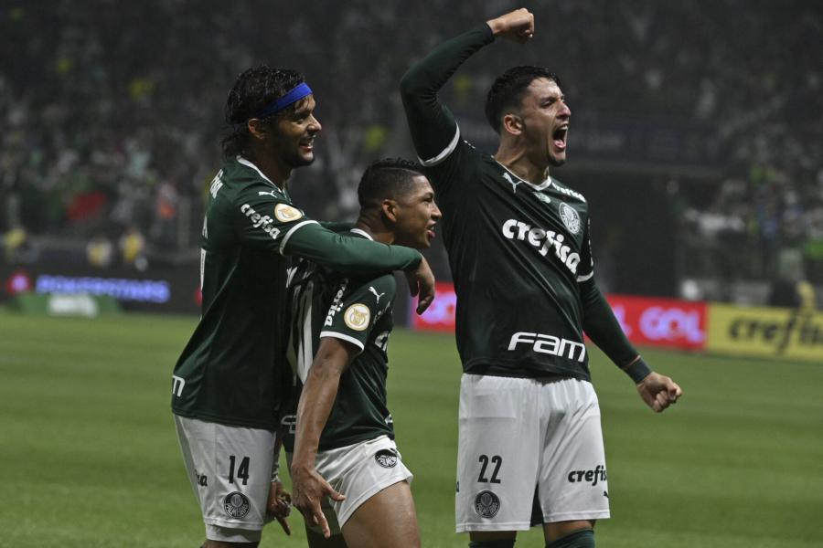 palmeiras_0411.jpg