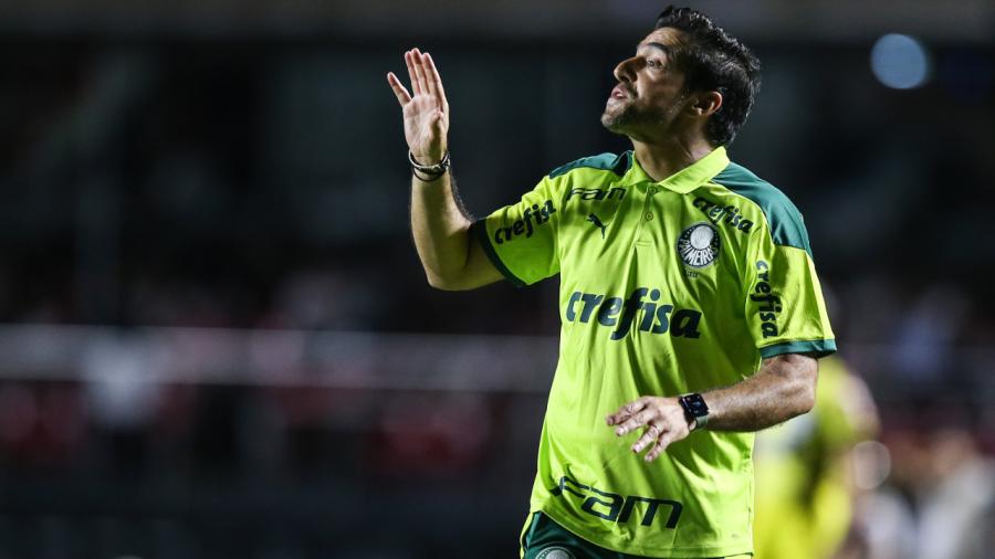 palmeiras_abel_0104.jpg