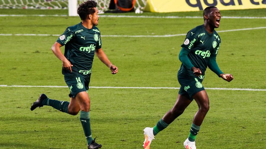 palmeiras_depaula.jpg
