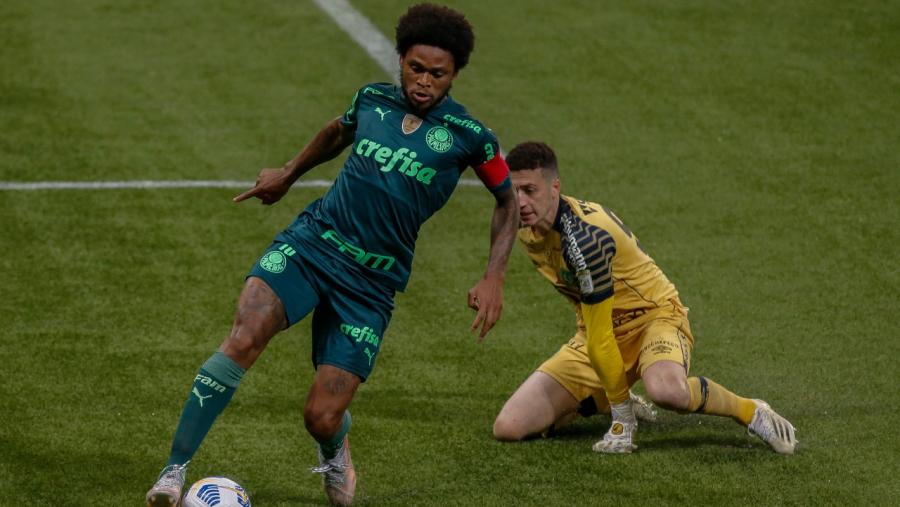 palmeiras_luizadriano_1106.jpg